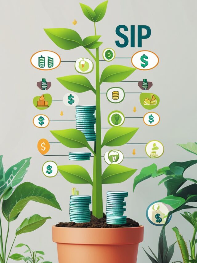 Top 3 SIP Plans for Beginners